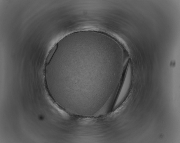 X0000091561373200708241807