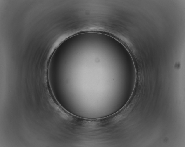 X0000091561374200708241807