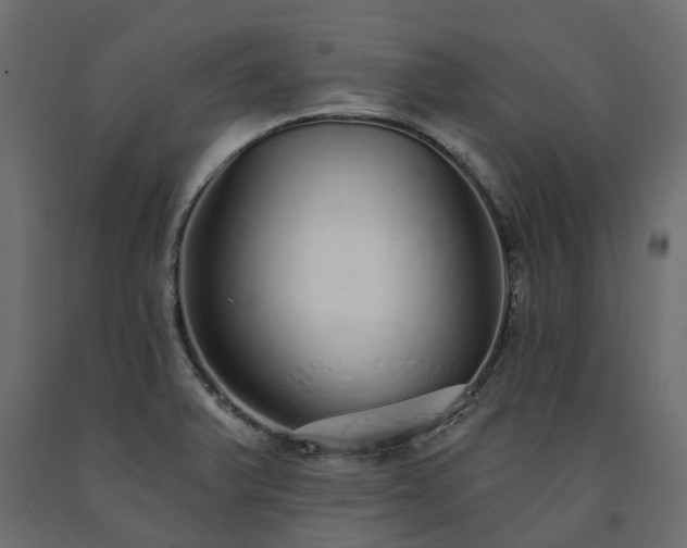 X0000091561375200708241807