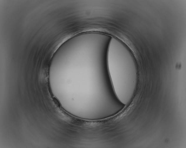 X0000091561377200708241807