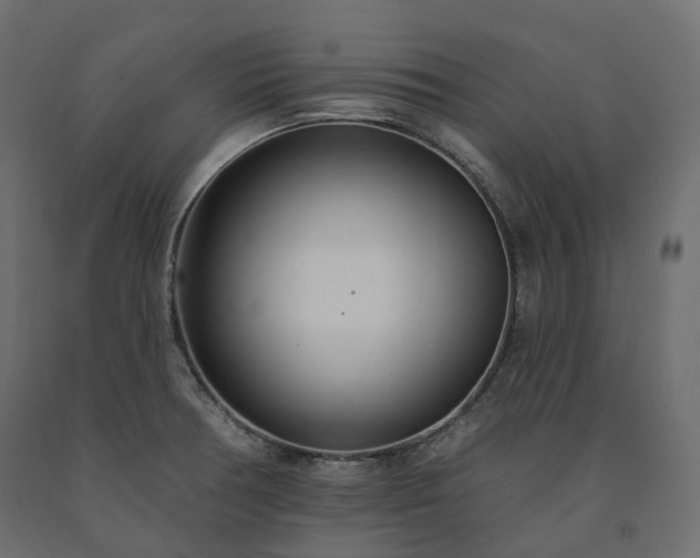 X0000091561378200708241807