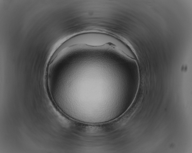 X0000091561379200708241807