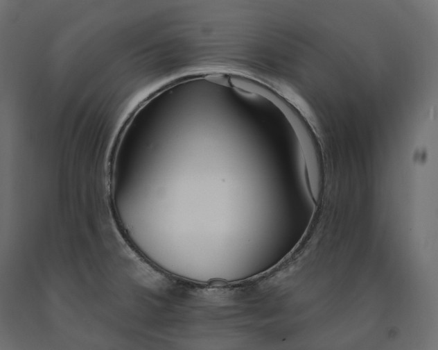 X0000091561380200708241807