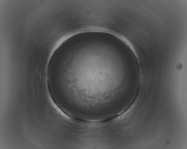 X0000091561381200708241807