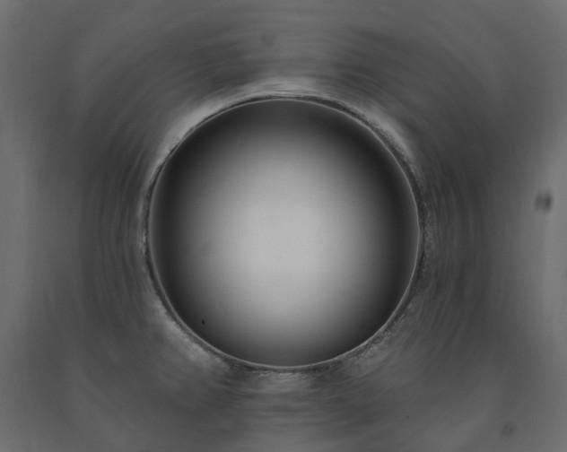 X0000091561382200708241807