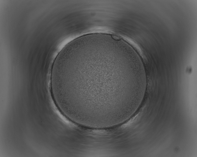 X0000091561383200708241807