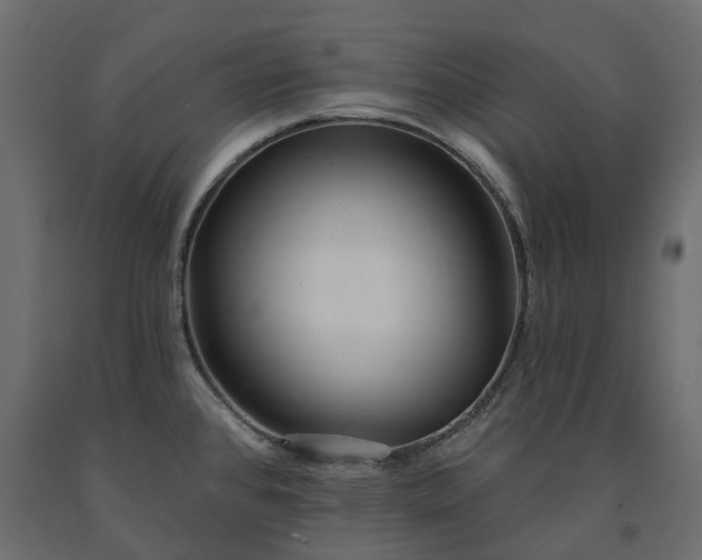 X0000091561384200708241807