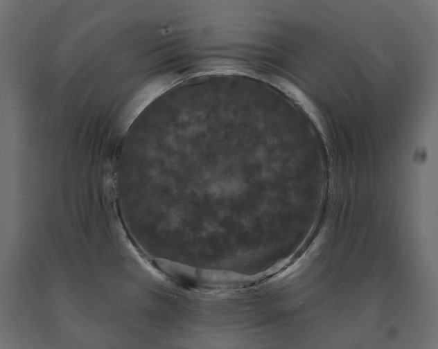 X0000091561385200708241807