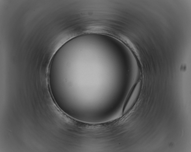 X0000091561386200708241807