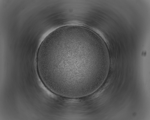 X0000091561387200708241807