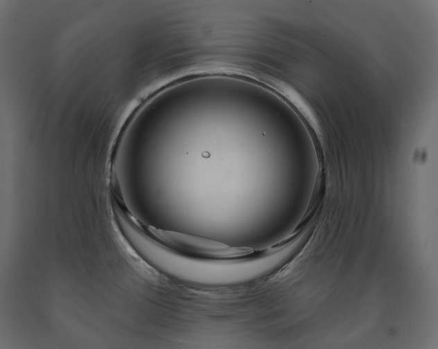 X0000091561388200708241807