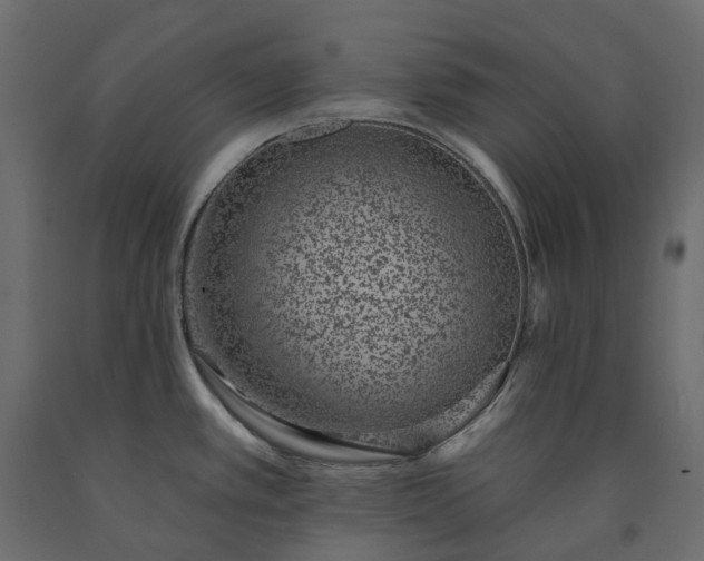 X0000091561389200708241807