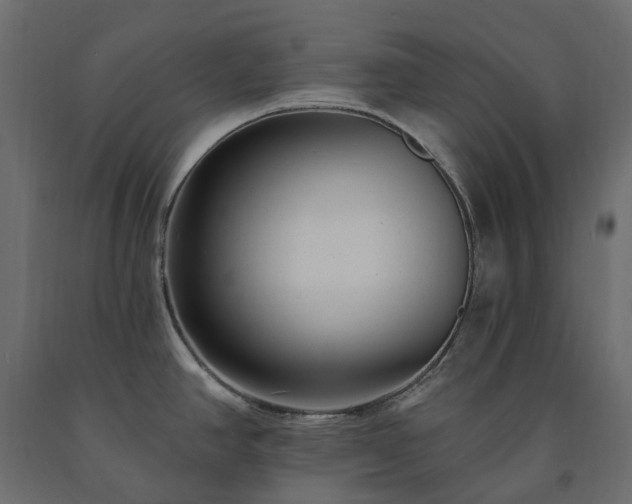 X0000091561390200708241807