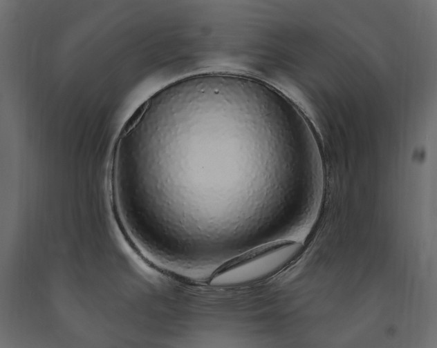 X0000091561391200708241807