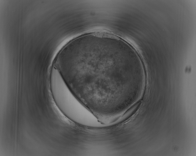 X0000091561392200708241807