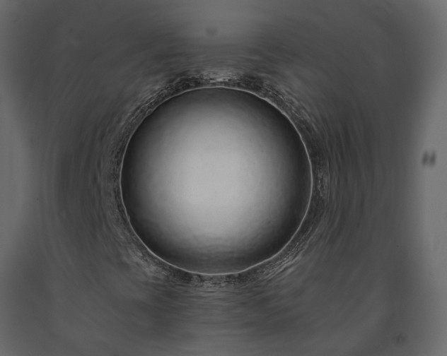 X0000091561393200708241806