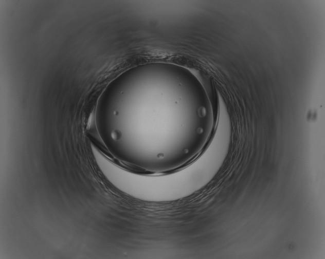 X0000091561394200708241806