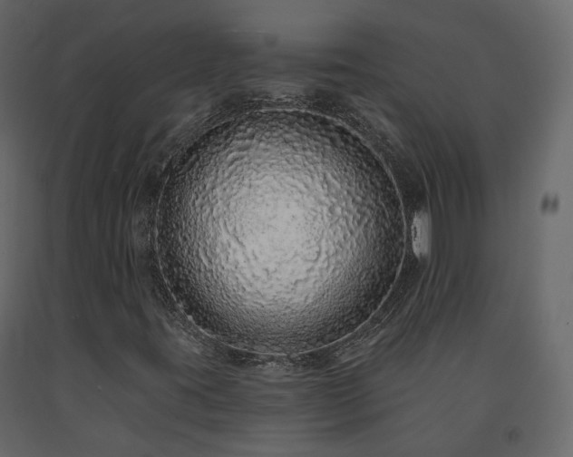 X0000091561395200708241806