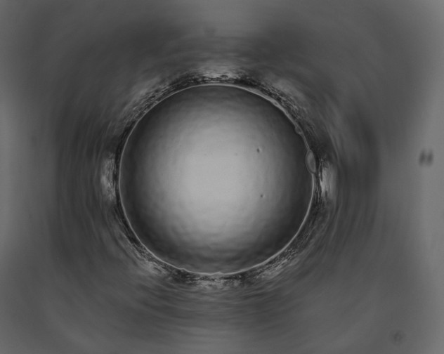 X0000091561396200708241806