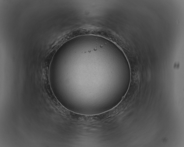 X0000091561397200708241806