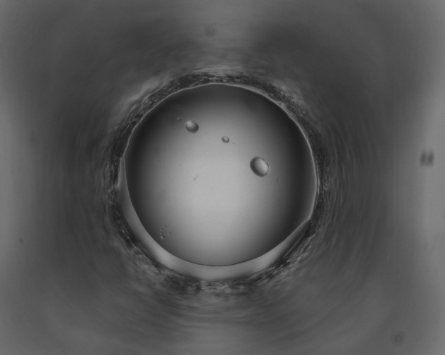 X0000091561398200708241806