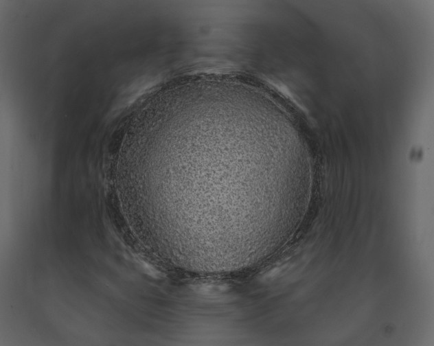 X0000091561399200708241806