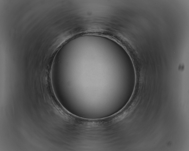 X0000091561401200708241806