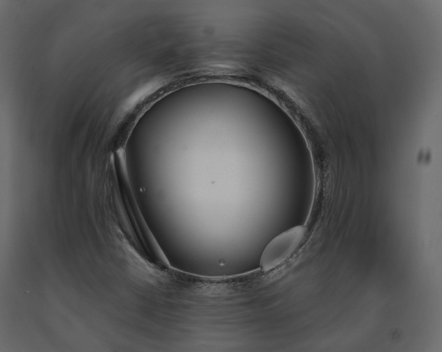 X0000091561402200708241806