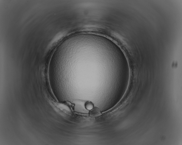 X0000091561403200708241806