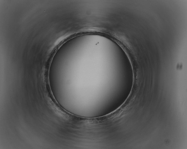 X0000091561404200708241806