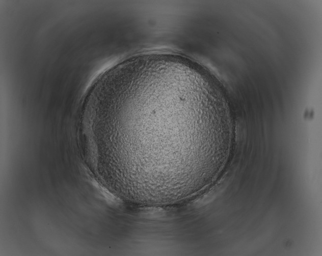 X0000091561405200708241806