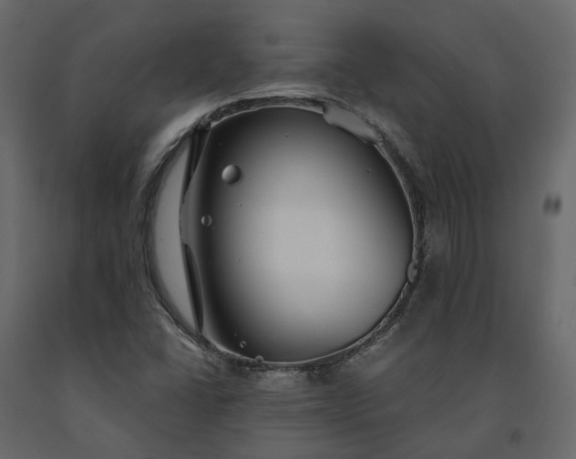 X0000091561406200708241806