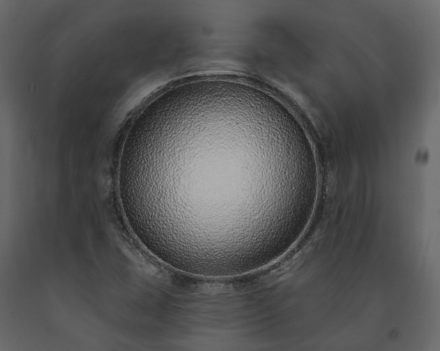 X0000091561407200708241806