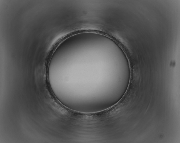 X0000091561408200708241806