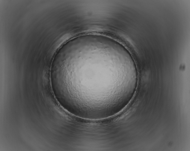 X0000091561409200708241806