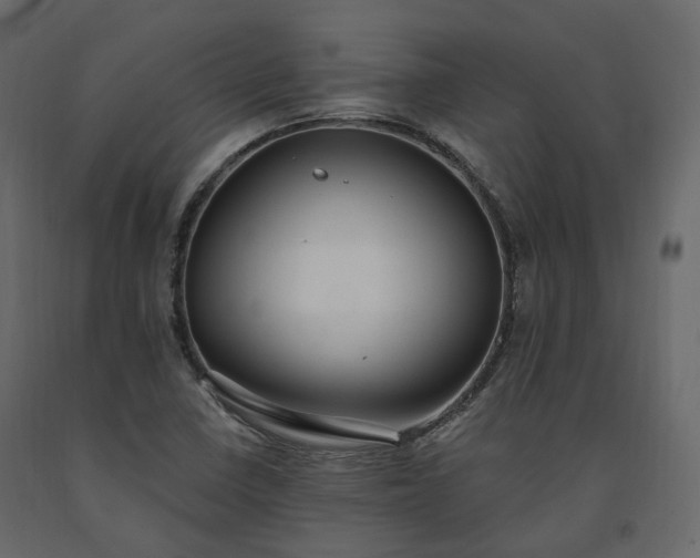 X0000091561410200708241806