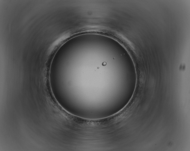 X0000091561411200708241806