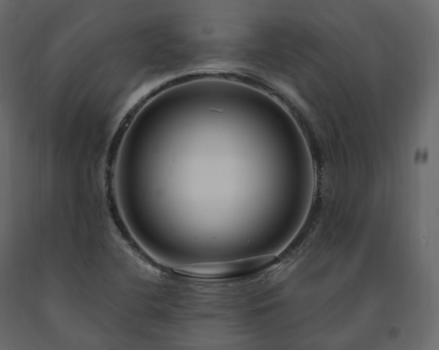 X0000091561412200708241806