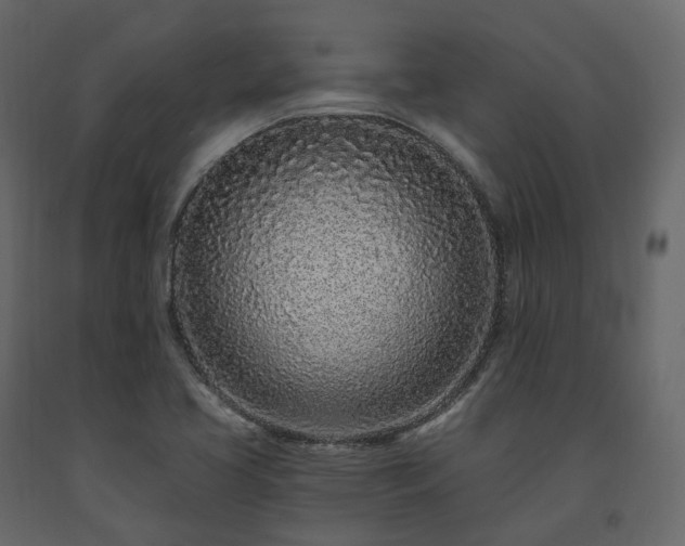 X0000091561413200708241806