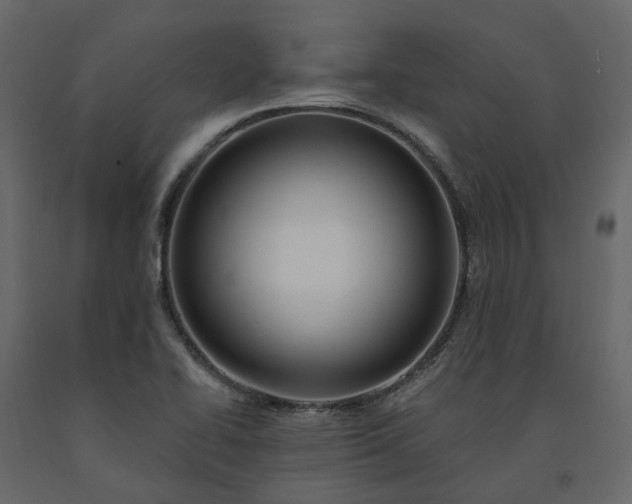 X0000091561414200708241806