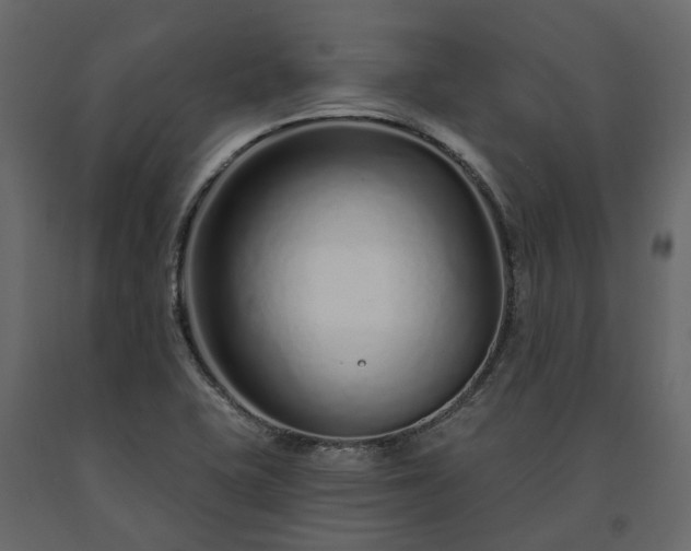 X0000091561415200708241806