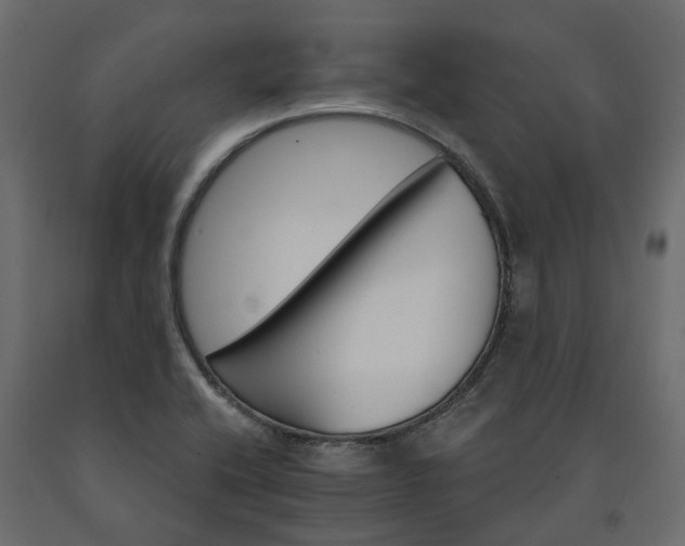 X0000091561416200708241806