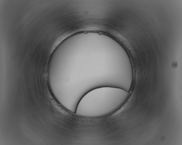 X0000091561417200708241806