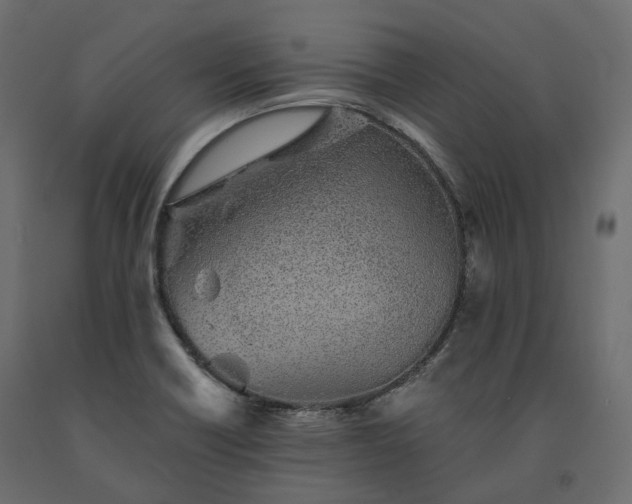 X0000091561418200708241806