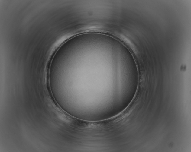 X0000091561419200708241806