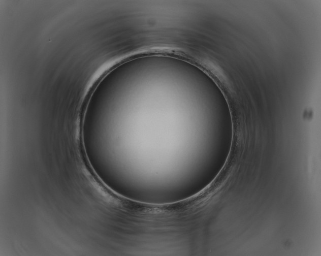 X0000091561420200708241806