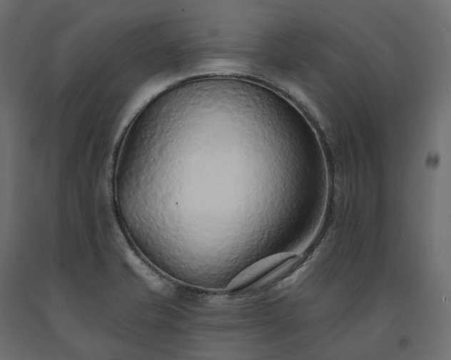 X0000091561421200708241806