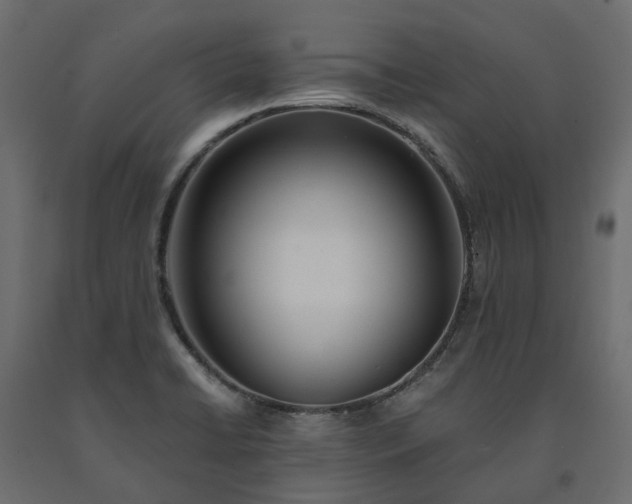 X0000091561422200708241806