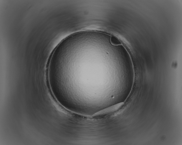 X0000091561423200708241806