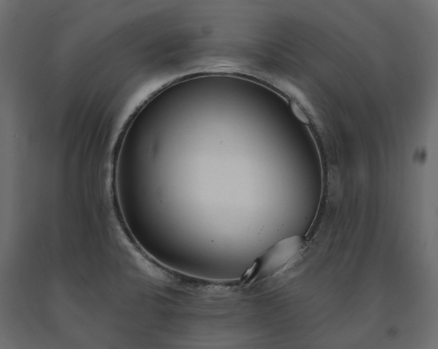 X0000091561424200708241806